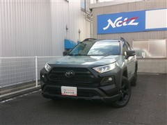 RAV4アドベンチャーオフロード2