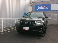 トヨタ ランクルプラドTX L BL ED
