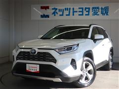 ＲＡＶ４