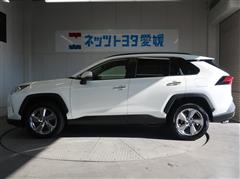 RAV4 HV G
