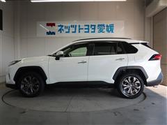 RAV4 HV G
