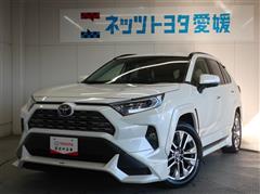 RAV4 G Zパッケージ
