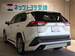 RAV4 G Zパッケージ