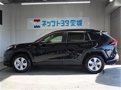 RAV4 X