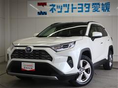 RAV4 HV G