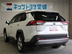 RAV4 HV G