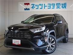 RAV4 G