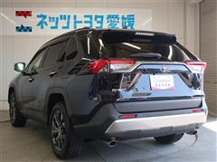 RAV4 G