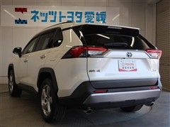 RAV4 HV G