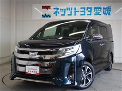VOXY S-G