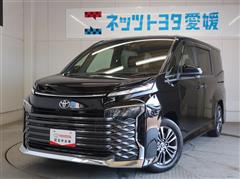 VOXY S-G