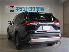 RAV4 HV G