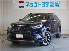 RAV4 HV G