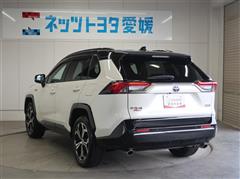 RAV4 PHEV ブラックトーン