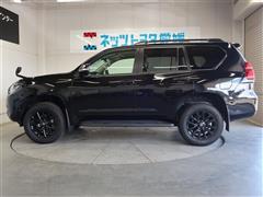 ランクルプラド TX L マットBL