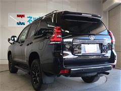 ランクルプラド TX L マットBL