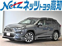 RAV4 G Zパッケージ