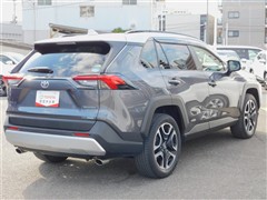 RAV4 アドベンチャー