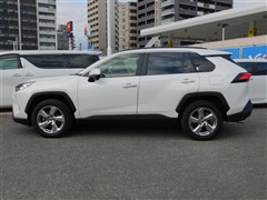 RAV4 G