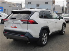RAV4 G