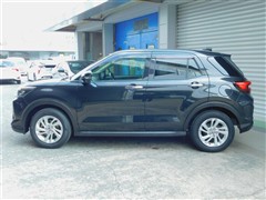 ライズハイブリッド G