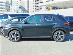 ライズハイブリッド Z