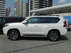 ランドクルーザープラド TZ-G