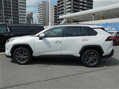 RAV4 G