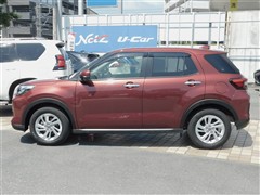 ライズハイブリッド G