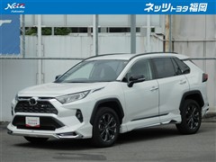 RAV4 G