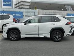 RAV4 G