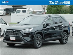 RAV4 G