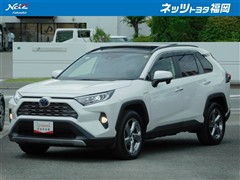 トヨタ　RAV4 ハイブリッドG