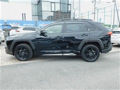 RAV4アドベンチャーオフロード2