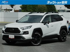 トヨタ RAV4アドベンチャーオフロード2