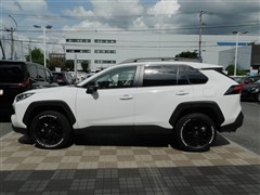 RAV4アドベンチャーオフロード2