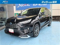 RAV4 ハイブリッドG