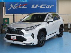 トヨタ RAV4 ハイブリッドG