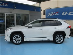 RAV4 G Zパッケージ