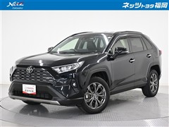 RAV4 G
