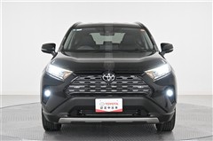 RAV4 G