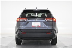 RAV4 X