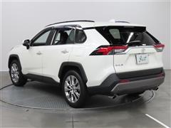 RAV4 G Z PKG