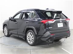 RAV4 G Z PKG