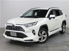 RAV4 G