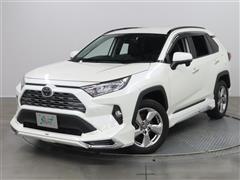 RAV4 G