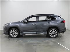 RAV4 G Z PKG