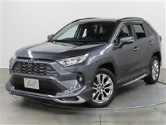 RAV4 G Z PKG