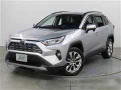 RAV4 G Z PKG