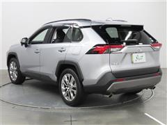 RAV4 G Z PKG